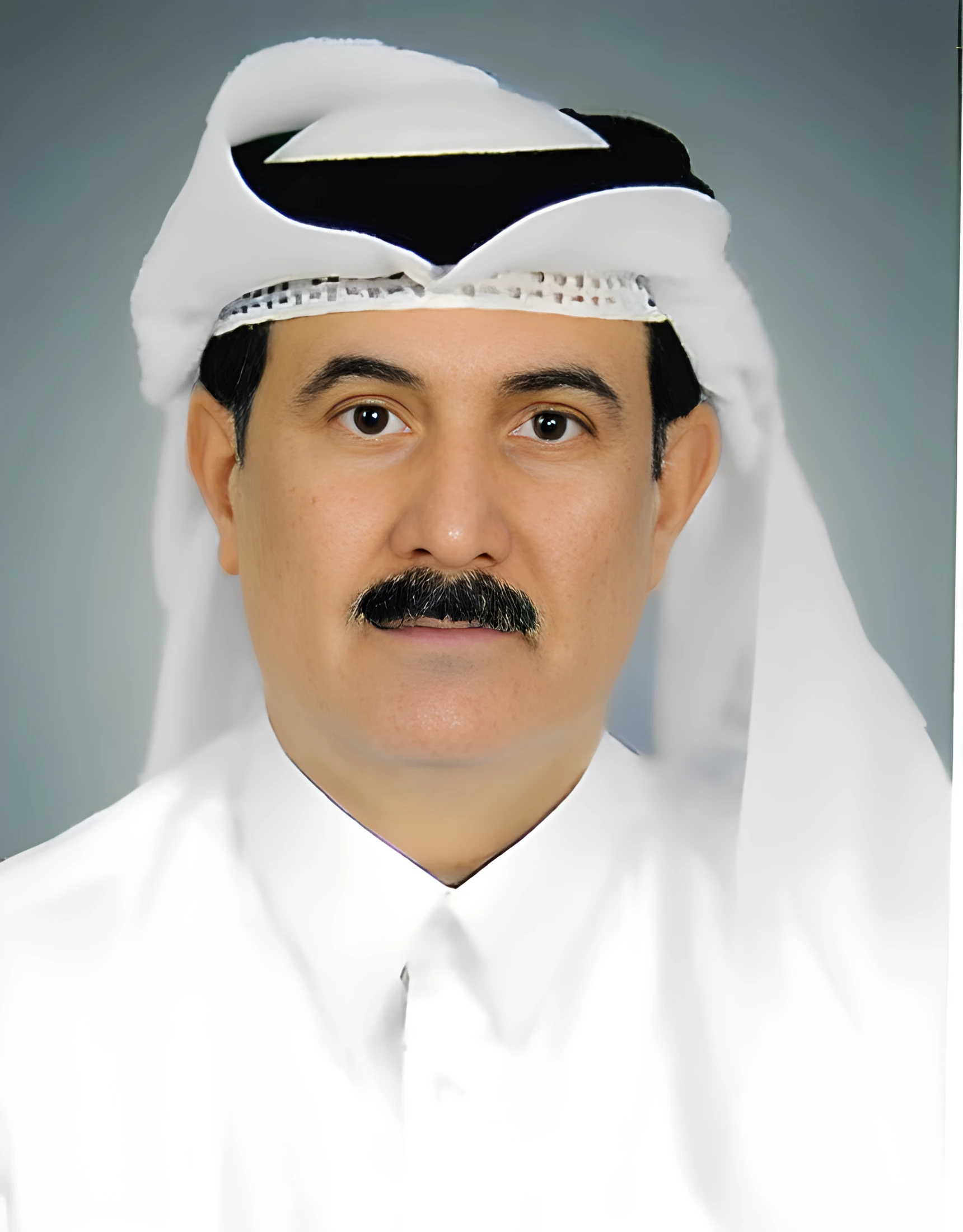 Mr. Mohd A/Kareem Abdulla Al Meer